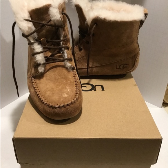 ugg chickaree bootie chestnut